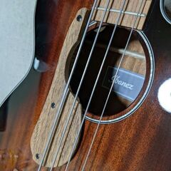 アイバニーズ Ibanez AEGB24E  アコースティックベースの画像
