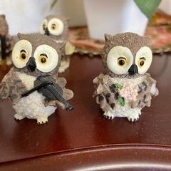 フクロウの演奏家達🦉の画像