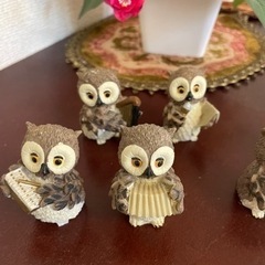 フクロウの演奏家達🦉の画像