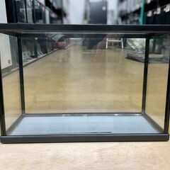 セール本日まで^_^水槽1800　静岡県引き取り限定 金魚➕水槽 (ヒカリ) 古庄のその他の中古あげます・譲ります