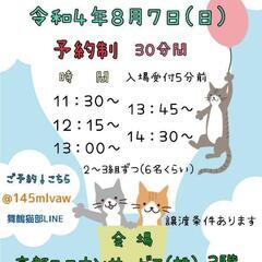 子猫のお見合い会(舞鶴市)
