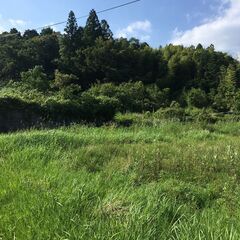 引きこもり、不登校、鬱、家庭問題などで悩んている方の相談にのります。