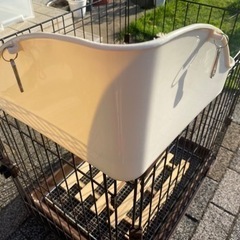 うさぎ　トイレの画像