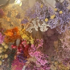 私と友達になってくれませんか？