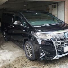 早期予約割引20パーセントOFF。ガラス系　ボディーコーティング...