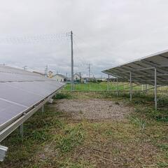 草刈作業承ります。　　伐木作業もお任せください。