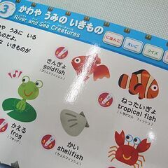 ☆ にほんごえいご なまえずかん ペン・ポスター付き 0～6才 知育玩具 うた クイズ 東京書店 札幌 東区 北20条店の画像