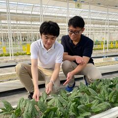 茂原市/週4勤務でプライベートも充実！屋外型農園運営補佐スタッフの画像