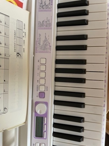 CASIO LK-315