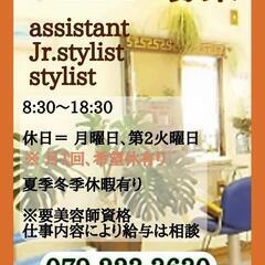 美容師アシスタント,スタイリスト募集の画像