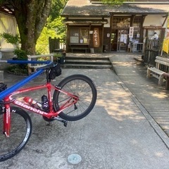 暑くなってきました。 - 浜松市