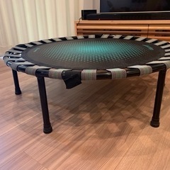 お譲り先決定　トランポリン（折りたたみ可能）の画像