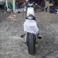 エイプ 50 80ccの画像