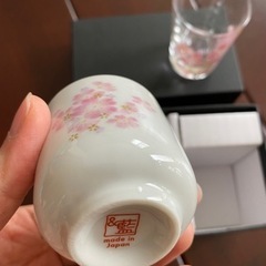 新品　飲茶セット　桜の画像