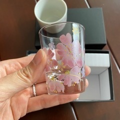 新品　飲茶セット　桜の画像