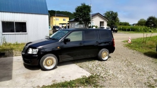 100 .114.3PCD マルチ　ゴールドメッシュ