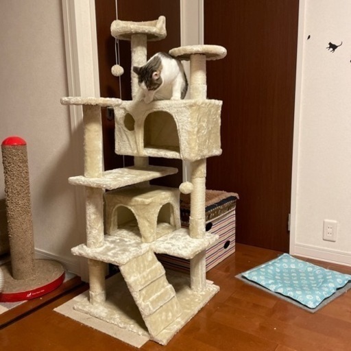 キャットタワー