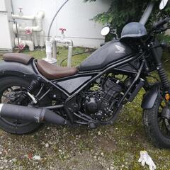 レブル250一年前に新車で購入の画像