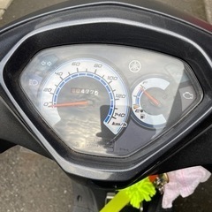アクシスＺ　走行477kmの画像