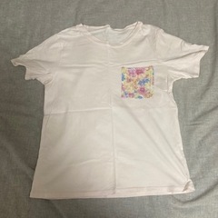 レディースTシャツの画像