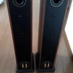 『お話し中』処分価格！スピーカー(g-tune)のエンブレム有り　Bronze Bx5の画像