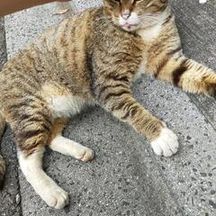 動物好きに悪い人はいない…はず！ - 北区