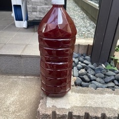 光合成細菌PSB培養液1L  2L  ４L