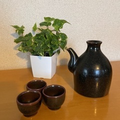薩摩焼　黒薩摩　沈寿官　酒器セット　徳利　ぐい呑み
