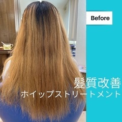 ブリーチ毛ケア　髪質改善専門