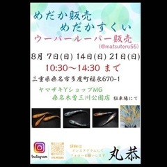鯉　メダカ　ウーパールーパーの画像