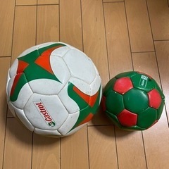 2010年サッカーワールドカップ南アフリカ大会