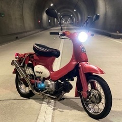 リトルカブ50-カスタム