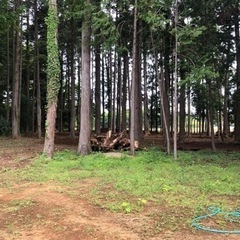 キャンプサイト作ってます😁草刈りお願いしたい。 − 千葉県