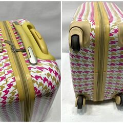 お洒落可愛い！機内持込みOK レディース キャリーケース 千鳥柄 キャリーバッグ 40×50×25cm 2.7kg 鍵付き レディース 旅行 出張などに！Fの画像
