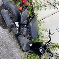 ズーマー AF58車体
