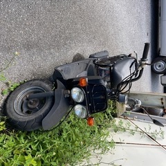 ズーマー AF58車体の画像