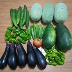 お野菜⑧点，