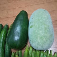 お野菜⑥点，の画像