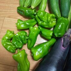 お野菜⑥点，の画像