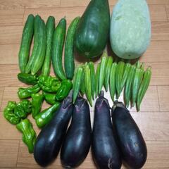お野菜⑥点，