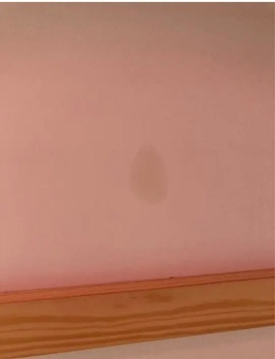 IKEA kura 子供用　2段ベッド