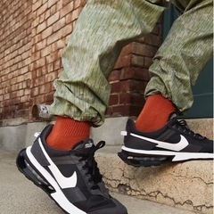 【新品未使用、タグ付き】29cm NIKE ナイキ エアマックス プリデイの画像