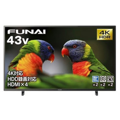 譲渡先決まりました！【ジャンク】FUNAI 43型液晶テレビ