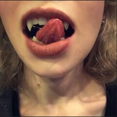 新品未使用 キバ　きば　牙　アメリカ製　使い捨て　八重歯　ドラキュラの牙　コスプレ ハロウィン衣装 クリスマス ハロウィン レディース メイド ハロウィンパーティ 仮装パーティ ハロウィン仮装パーティ 卸　業者　価格の画像