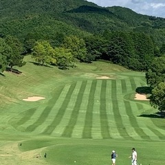ゴルフ仲間募集してます！⛳️