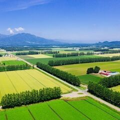 【即日～短期】北海道豊頃町でスタッフ送迎のお仕事【日給5,000...