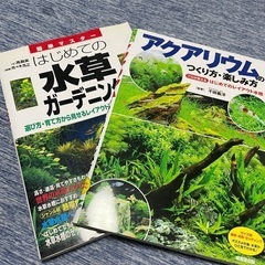 アクアリウム ガーデニング ハーブ 水草 本