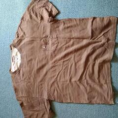 ハッシュパピ　Tシャツ1