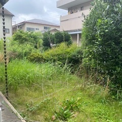 造園業の仕事です。正社員、バイト募集中です。の画像