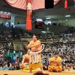 大相撲観戦好きな方を探しています
